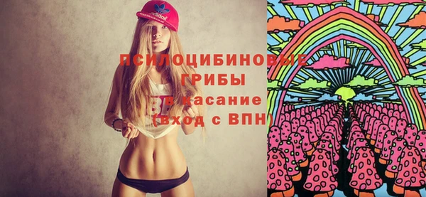 не бодяженный Туринск