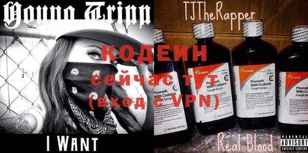 гидра Карпинск