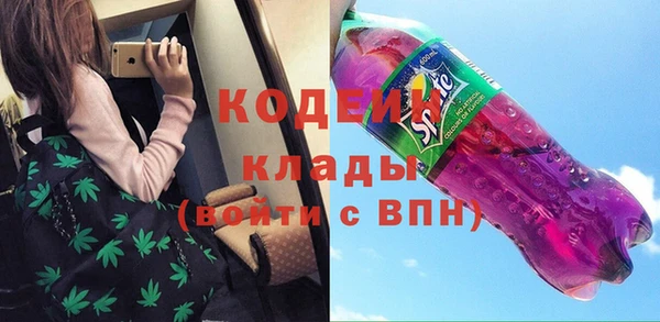 гидра Карпинск