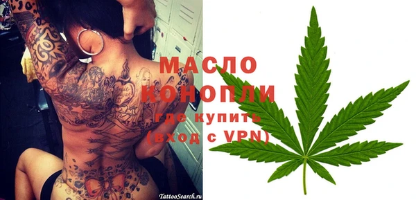 гидра Карпинск