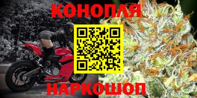 ПСИЛОЦИБИНОВЫЕ ГРИБЫ Гагарин