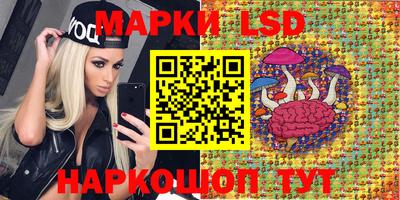 молекула духа Гатчина