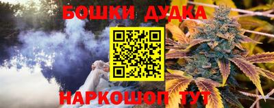 гидра Гай