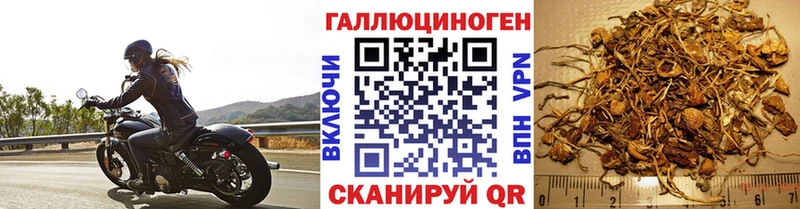 наркошоп Комсомольск-на-Амуре ОМГ ОМГ онион Псилоцибиновые грибы MAGIC MUSHROOMS